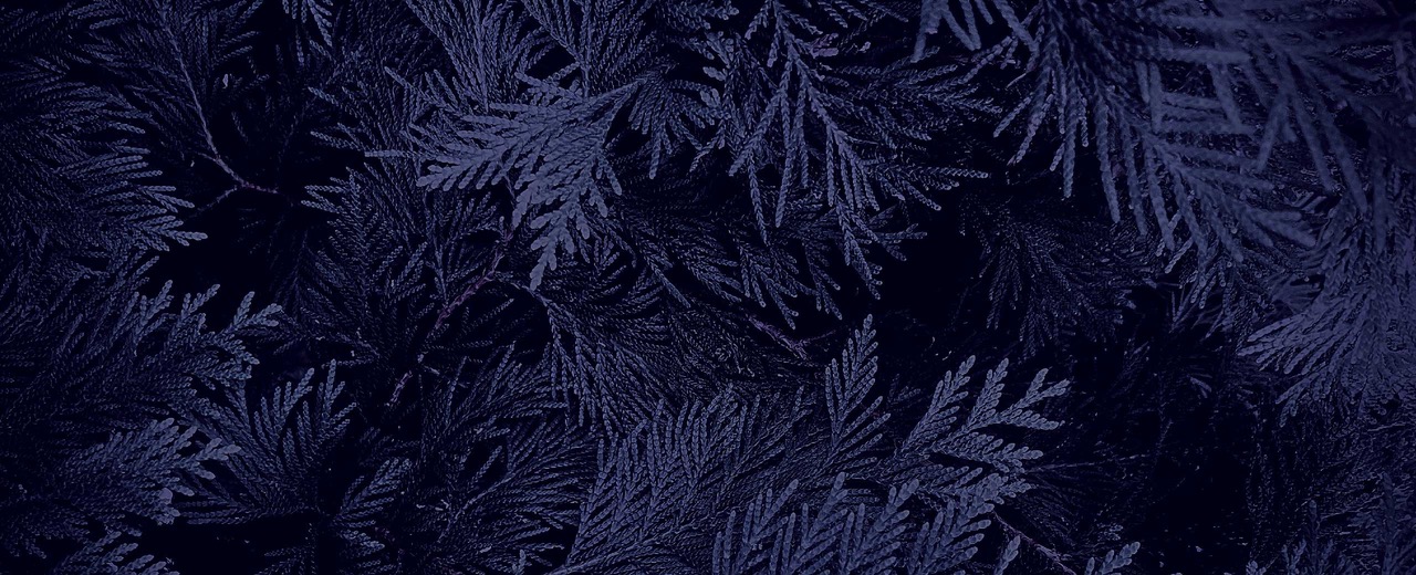 CHRISTMAS CENTRE HOURS